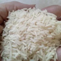 برنج طارم محلی220نیمدانه هاشمی180