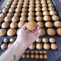 استخدام شاطر نان فانتزی