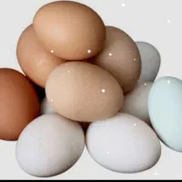 رفع چشم نظر با تخم مرغ و روسری