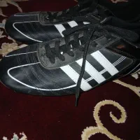کفش ورزشی