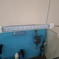 اکواریوم شیشه خم در حد نو