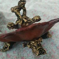 اردو خوری پلیستر