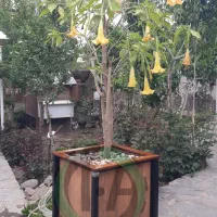 فلابرباکس