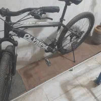 آقای‌انصاری‌‌شم