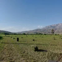 فروش مستقیم یونجه ، مالک زمین هستم
