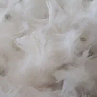 پرغاز