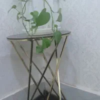 پایه گلدان
