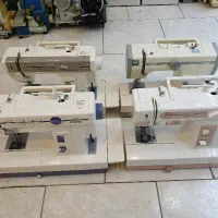 فروش عمده و تکی ژانومه دوکله ژاپن