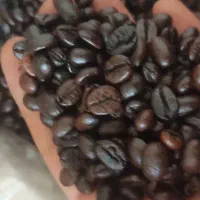 پخش عمده قهوه سبز و رست شده گلد پودریجات
