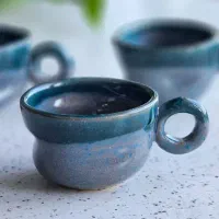 شات تک و دبل