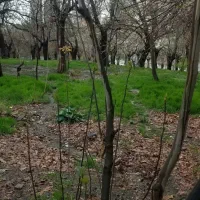 ۷۰۰ متر زمین مسکونی کلار آباد