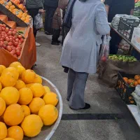 مغازه میوه فروشی