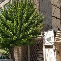 ویلایی ۱۳۰ متر - ۳۰ متر تجاری - عامل ۱۵