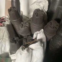 ۶۰۰ عدد گلدان نشایی سایز ۱۴ نو