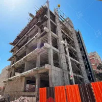 مجری ذی صلاح حقوقی