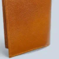 کیف پولی گمشده