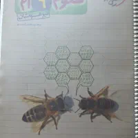 کتاب کمک اموزشی علوم تیزهوشان نهم