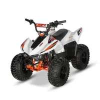 موتور چهار چرخ