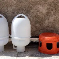 جا آبی مرغ