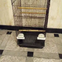 واگذاری پرنده