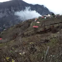 فروش باغ فندوق سند دار در روستای ییلاقی شوک اشکور