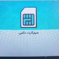 09129384336