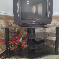 تلویزیون