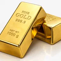 اتاق ترید فقط Forex Trader CV/Resume