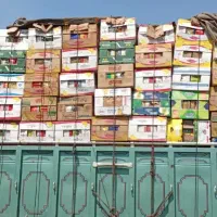 خرید فروش کارتون و کارتون موز سبد میوه