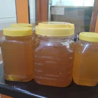 عسل گون|خوردنی و آشامیدنی|دزفول, |دیوار