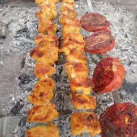جشن|خدمات پذیرایی، مراسم|نیشابور, فضل|دیوار