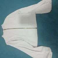 شومیز