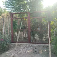 در باغی