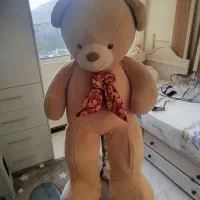شاسخین خیلی بزرگ