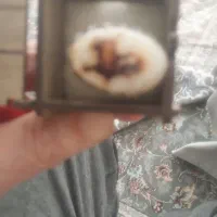 انگشتر نقره دست نویس