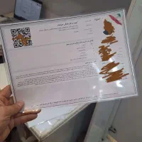 جواز کسب خانگی و صنفی یا مغازه