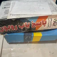 پاسخ یاب روبون