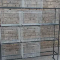قفس قناری