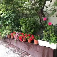 اجاره اتاق از آپارتمان مجهز با انباری|اجارهٔ آپارتمان|تهران, آرژانتین|دیوار
