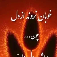 مدارک پیدا شده