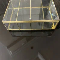 جاتیبک