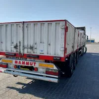 کفی ماموت لبه دار