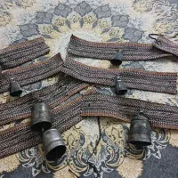 قلاده سگ و گوسفند