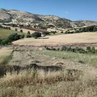 زمین فروشی فوریی