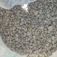 شِن نخودی