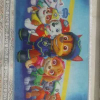 پادری ۴ عدد