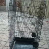 قفس بزرگ اخرین اندازه بزرگ است