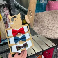 پاپیون کروات لباس عروس جای خواب گربه شوفاژی پت شاپ