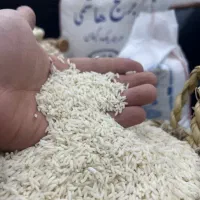 فروش برنج درجه یک