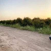 باغچه-شهرک-منتظران